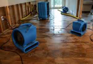 How Long Does Water Damage Take to Dry Out Completely?