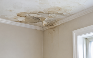 Roof Leak Water Damage: Signs You Should Not Ignore