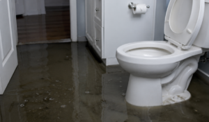 What to Do After a Toilet Overflow